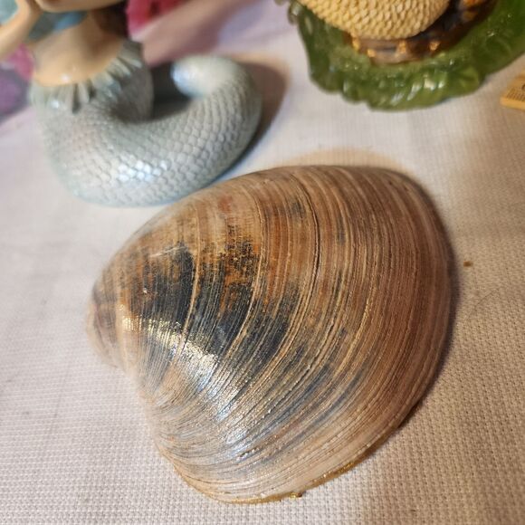 DECOUPAGE BLUE FLOWERS ON A CLAM SHELL - Picture 8 of 9